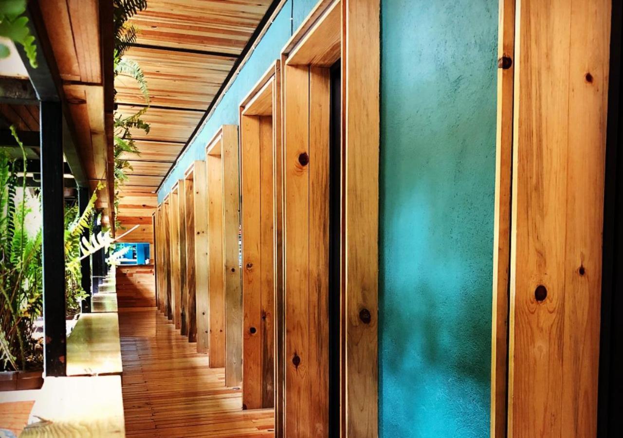 Mexico Hostel ภายนอก รูปภาพ